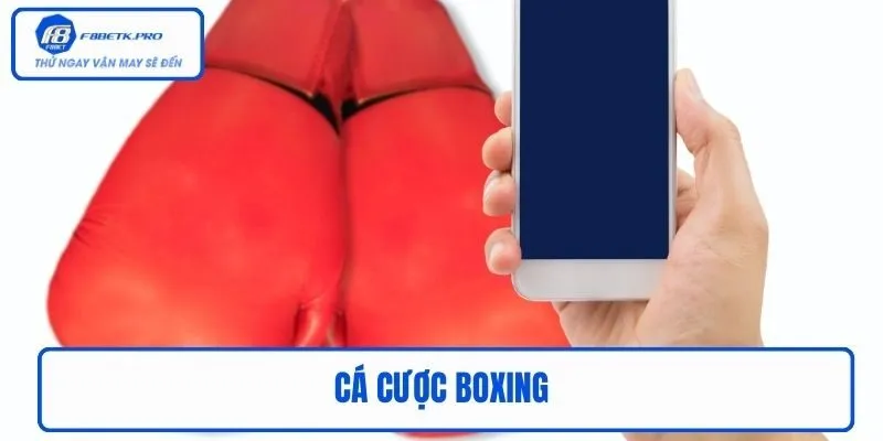 Cá Cược Boxing