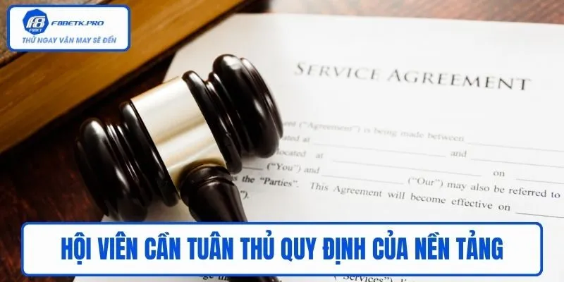 Hội viên cần tuân thủ quy định của nền tảng F8BET
