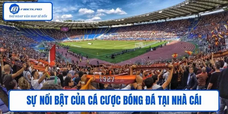 Sự nổi bật của cá cược bóng đá tại nhà cái