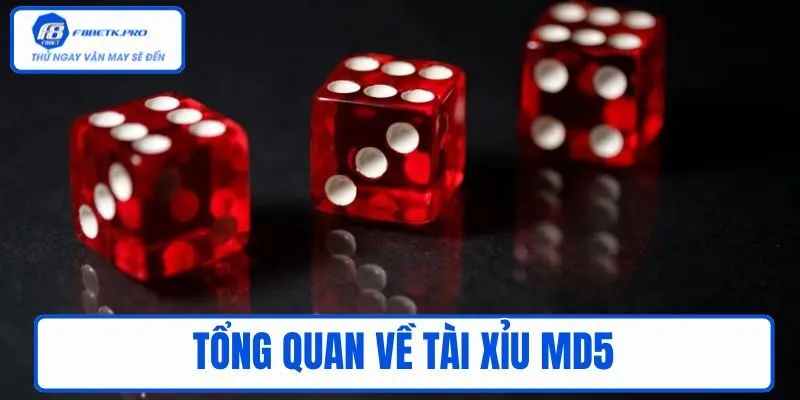 Tổng quan đôi nét chính về tài xỉu MD5