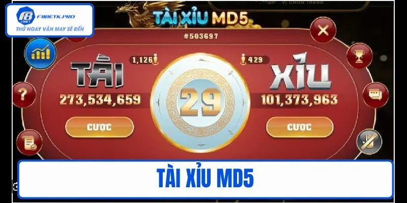 Tài xỉu MD5