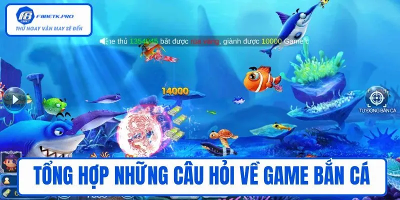 Tổng hợp những câu hỏi của khách hàng về bắn cá